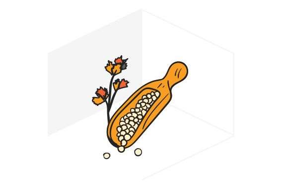 植物種子、肥料和土壤